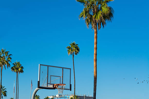 istock basketball hoop and palms in Venice beach 626423012