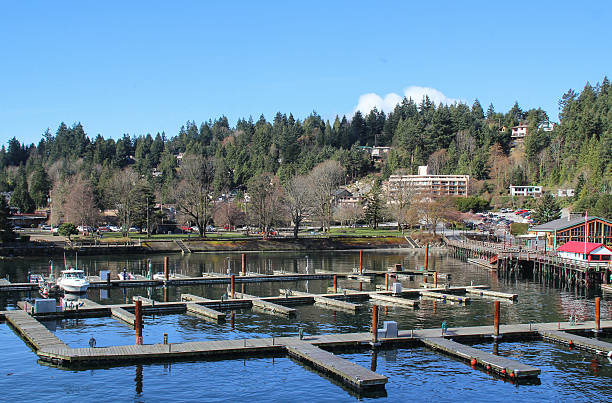 istock Horseshoe Bay  public dock and Boat Centre 626426526