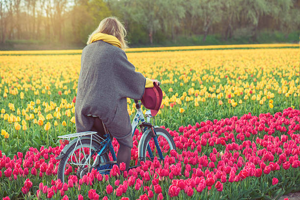 istock Female riding her bike through tulip fields 626426630