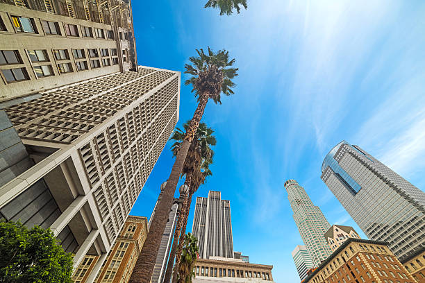 istock palm trees in Downtown Los Angeles 626427788