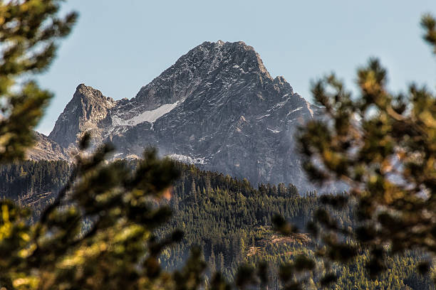 エッツターラーアルプスのアチェルコーゲル山 - ötztal alps ストックフォトと画像