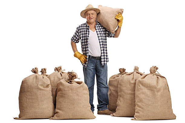 istock Mature farmer with a burlap sack on his shoulder 626429250