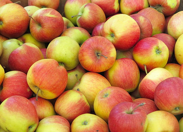 istock Red and yellow organic apples background 626429812