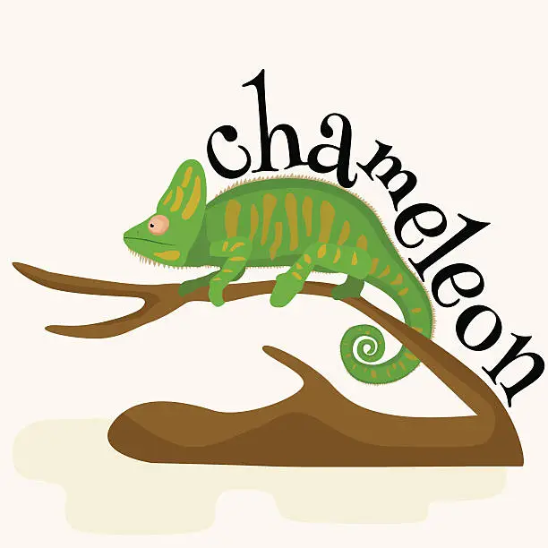 Vector illustration of pet chameleon for home, lizard and reptile isolated vector pictograms