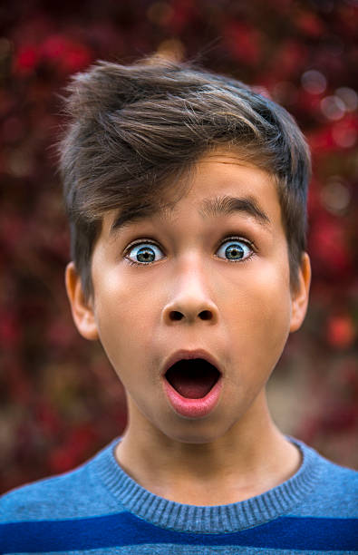 istock Portrait of surprised little boy 626437142