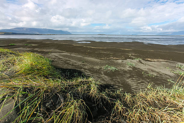 istock Icelandic coastline, northeast Iceland 626445962