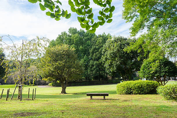 istock Open space of Iwamotoyama Park 626448602