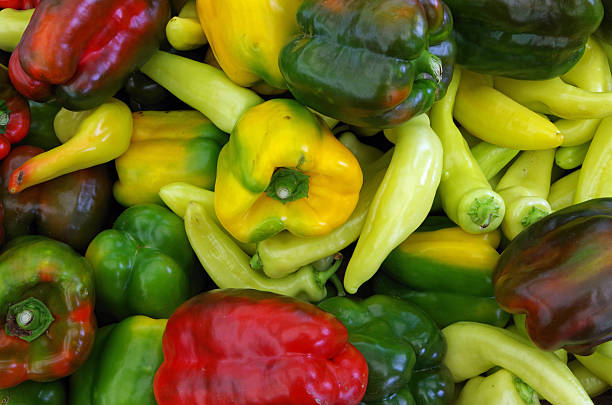 istock Mixed multi color hot and sweet peppers 626455022