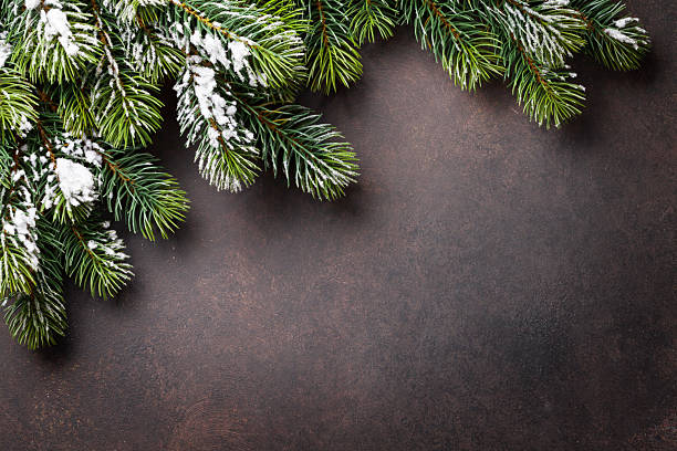 istock Christmas stone background with snow fir tree 626456670