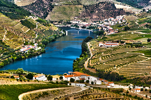 Ladscape in Douro Valley near Pinhão