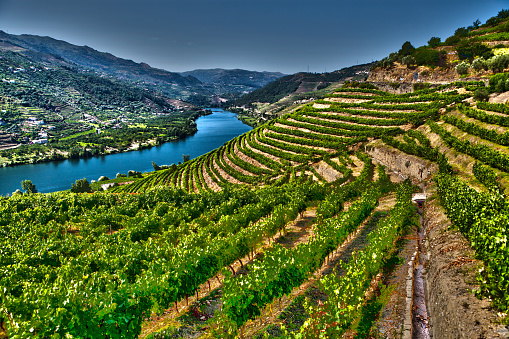 Ladscape in Douro Valley-Barragem do Pocinho-more files in my portfolio.Taken With a Full Frame Digital Camara