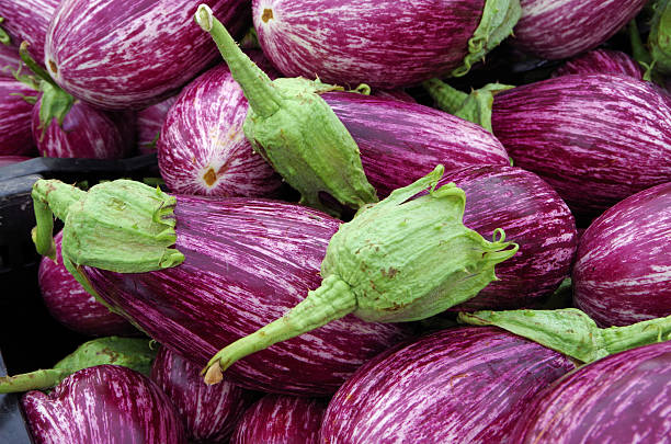 Purple with  white streaks Sicilian eggplants