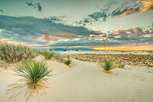 amanecer en el desierto  - white sands national monument fotografías e imágenes de stock