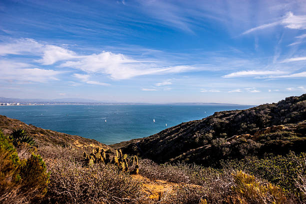 istock View from Point Loma, San Diego, USA 626462194