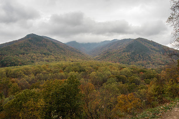 istock Fall at the Great Smoky Mountains National Park 626463686
