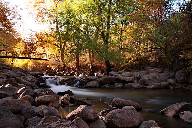 automne sur la crique. - otono photos et images de collection