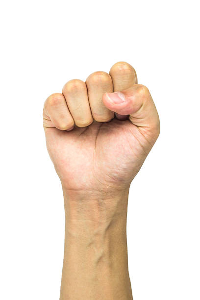 istock Man's fist isolated on white background including clipping path 626465374
