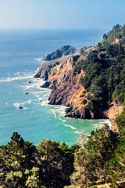 kirby cove, marin headlands, kalifornia, stany zjednoczone - marin headlands zdjęcia i obrazy z banku zdjęć