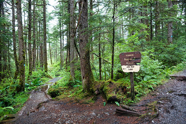 Path to John Muir's cabin Signage to Muir's cabin on Auk Nu Trail in the Tongass National Forest at the fork of two dirt paths leading past mossy trees and logs on a rainy day, Juneau, Alaska, USA hiking sign stock pictures, royalty-free photos & images
