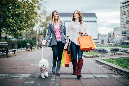 Two young women with shopping bags, returning from the shopping with a dog poodle.