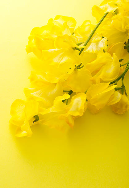 istock Bunch of flowers 626466596