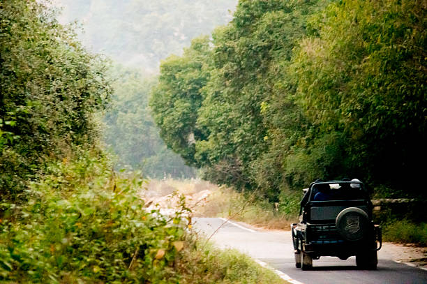 Open off road cars on a jungle path stock photo