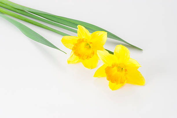 istock Bunch of flowers 626467306