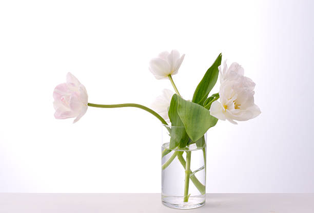 istock Bunch of tulips 626467330