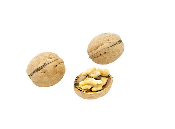 istock walnut and a cracked walnut isolated on the white background 626467576