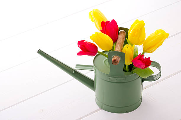 istock Flowers and watering can 626467938