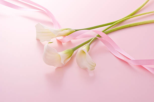 istock Bunch of flowers 626468722