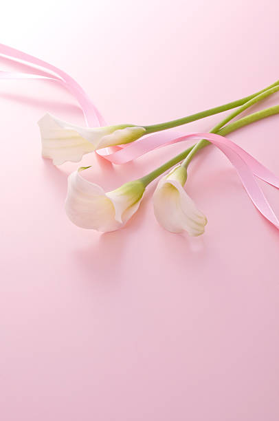 istock Bunch of flowers 626468750