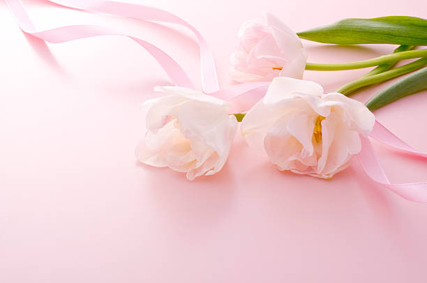 istock Bunch of tulips 626469020