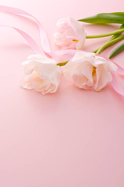 istock Bunch of tulips 626469050