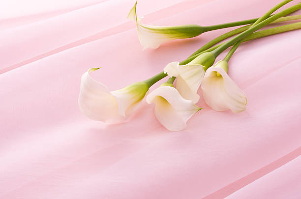 istock Bunch of flowers 626469490