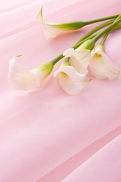 istock Bunch of flowers 626469512