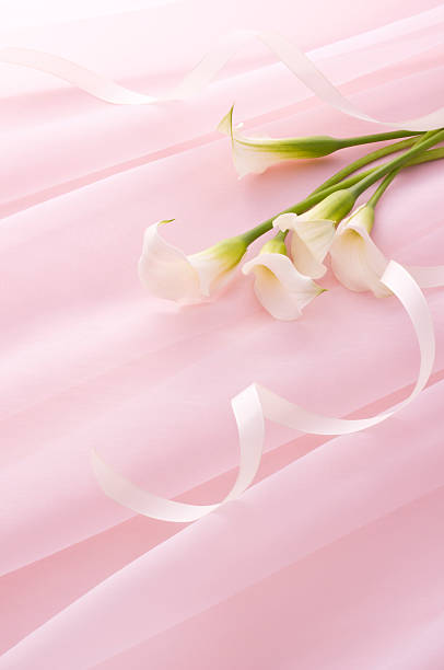 istock Bunch of flowers 626469550