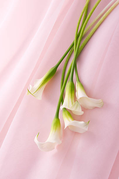 istock Bunch of flowers 626469616