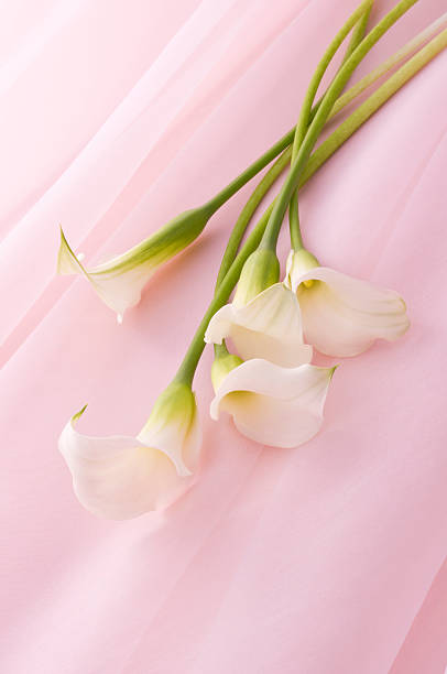 Bunch of flowers