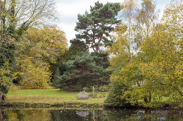 istock Autumn trees and bench near the lake with reflections 626488268