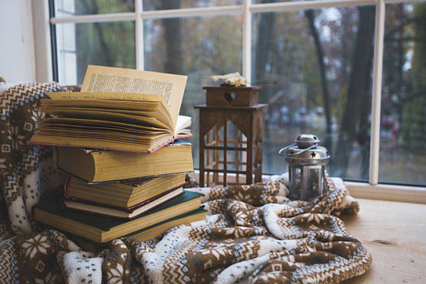 istock Stack of books with a warm blanket on a windowsill 626502194