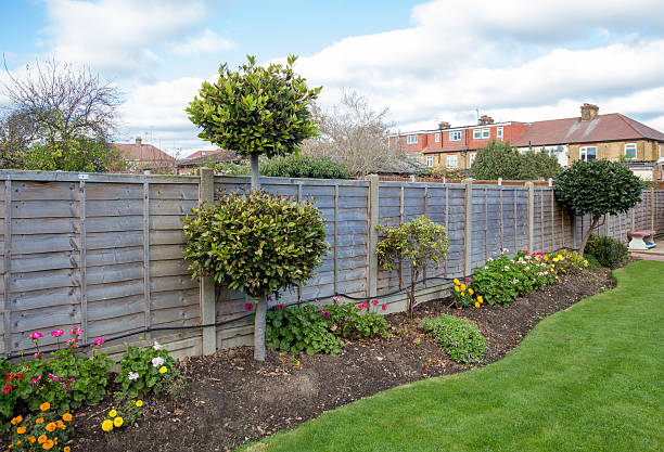 istock Flower bed in a typical urban garden with lawn 626508930