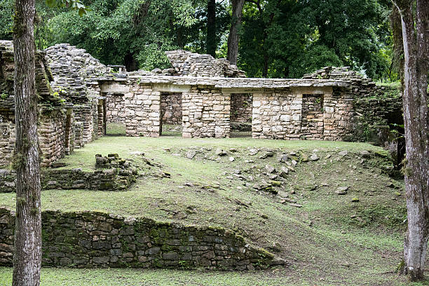 istock The archeological site of Yaxchilan 626510818