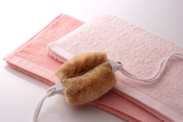 istock Japanese tawashi (loofah) 626510940