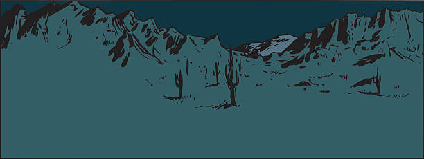 pustynne górskie tło w nocy - sonoran desert illustrations stock illustrations