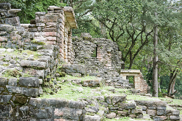 istock The archeological site of Yaxchilan 626512004