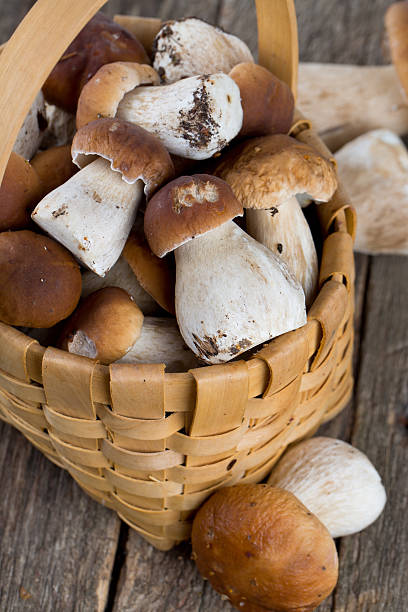 istock boletus mushrooms in a basket on wooden surface 626514174