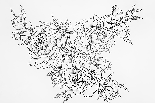 Black and white sketch of the three big beautiful roses