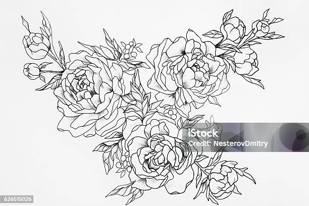 Black And White Sketch Of Three Beautiful Roses Stock Photo - Download Image Now - Illustration, Rose - Flower, Outline