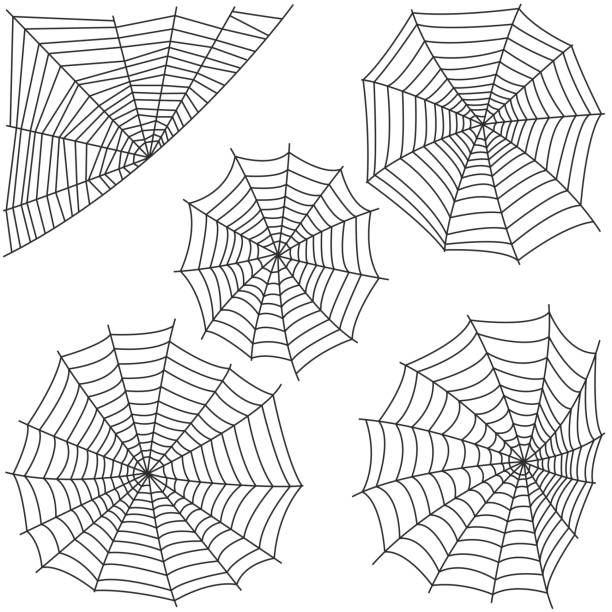 паук веб силуэт вектор набор - веб дизайнер иллюстрации stock illustrations